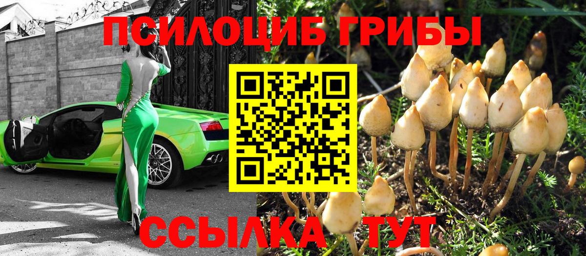 Галлюциногенные грибы мухоморы Дмитров