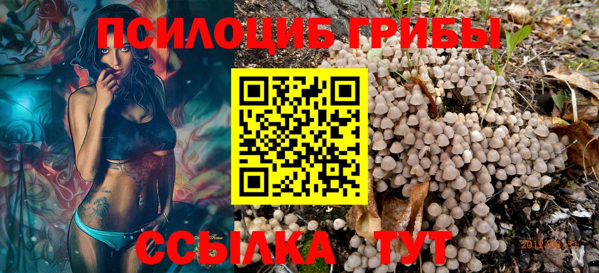 Дмитров  Псилоцибиновые грибы мухоморы  Вход с VPN 